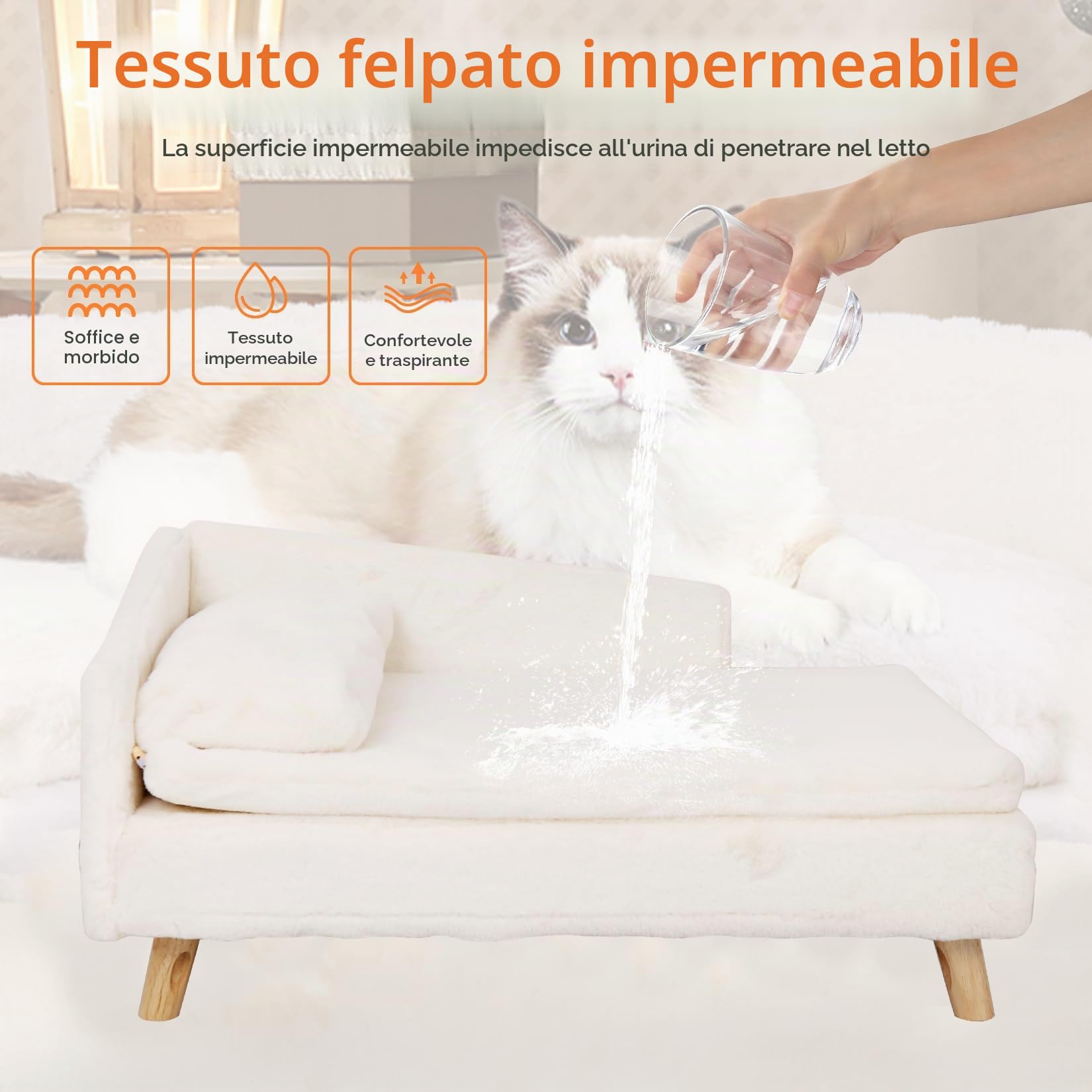 BingoPaw Divanetto per Cani e Gatti: Divano Letto Rialzato per Gatto Cani Inferiore a 25 kg Cuccia per Gatti da Interno con Cuscino Morbito Grande Cucce per Gatti da Interno, 80,5x48x23,5cm