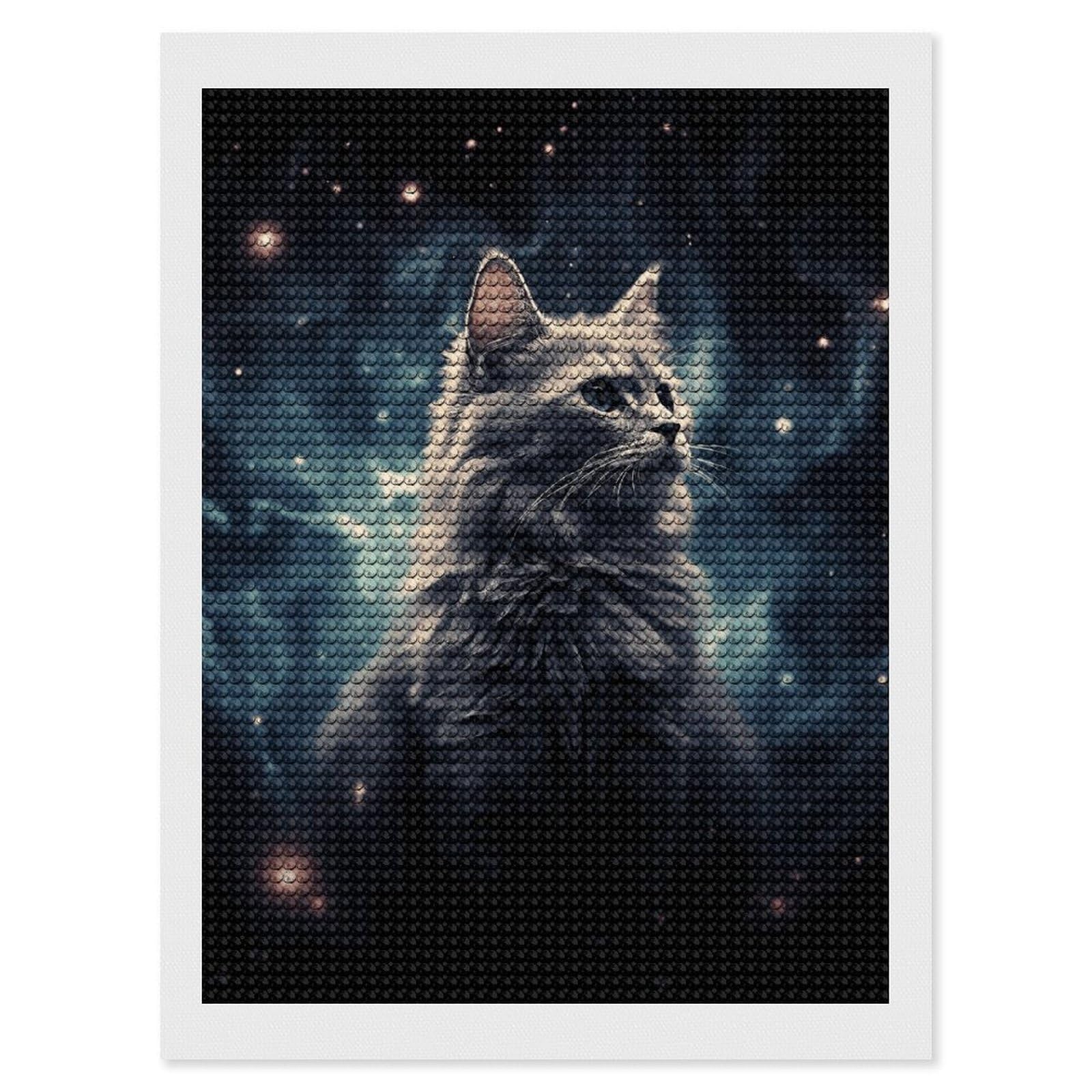 Diamond Painting Kits for Adults - DIY Diamond Art Kits for Beginners - Full 5D Paint Drill Diamond Dots Paintings- A Cat in A Nebula Diamonds Pictures Gem Art and Craft Wall Decor 12"x16"