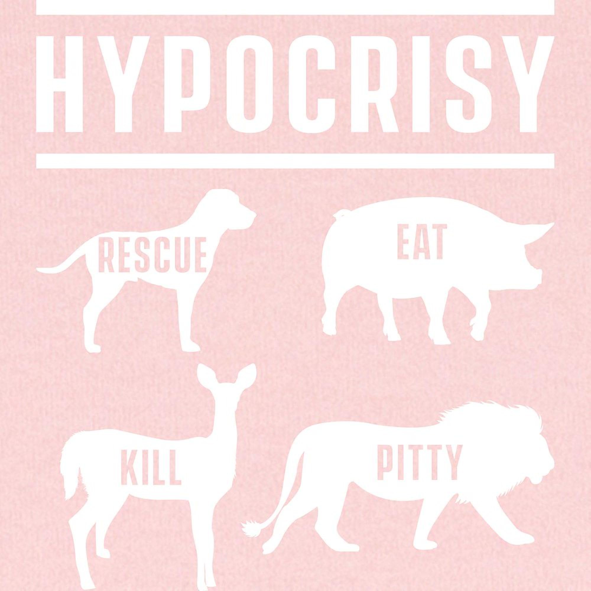 CafePress Hypocrisy Vegan Vegetarian Animal Rig Baby Blanket, Super Soft Newborn Swaddle