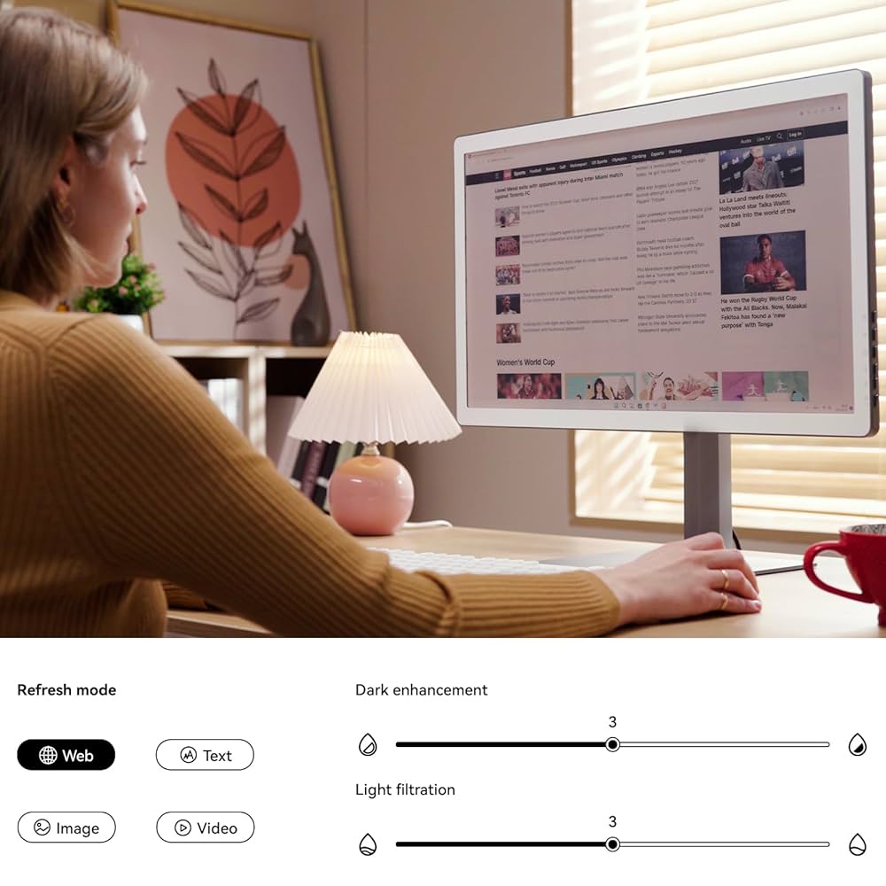 Bigme B251 カラー電子ペーパーディスプレイ Bigme B251-World's 1st E Ink Color Monitor with 25.3 inch