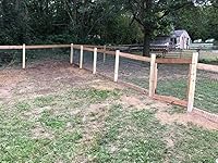 Review Image by Randy Randy