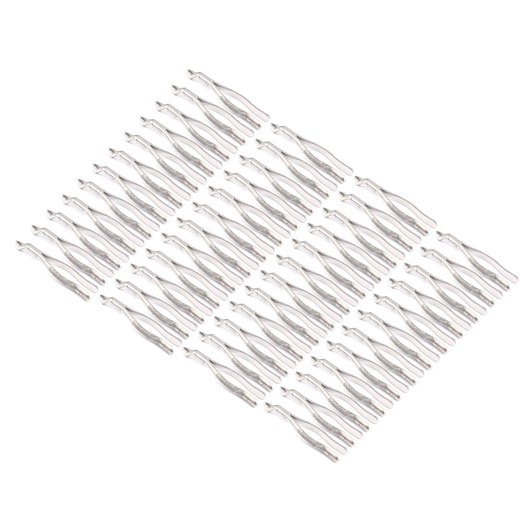 OdontoMed2011® Set Of 50 Dental Extracting Forceps #53R Dental Extraction Instruments ODM