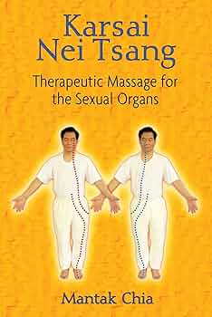 【洋書】Chi Nei Tsang チネイザン 4冊セット 洋書】Chi Nei Tsang チネイザン 4冊セット