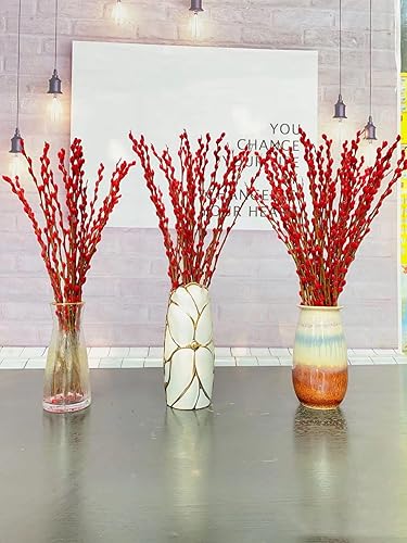 Miniatura 8 de 20 ramas de sauce rojo para jarrón, sauce seco natural, flores secas reales, 2 años de larga duración, decoración del hogar