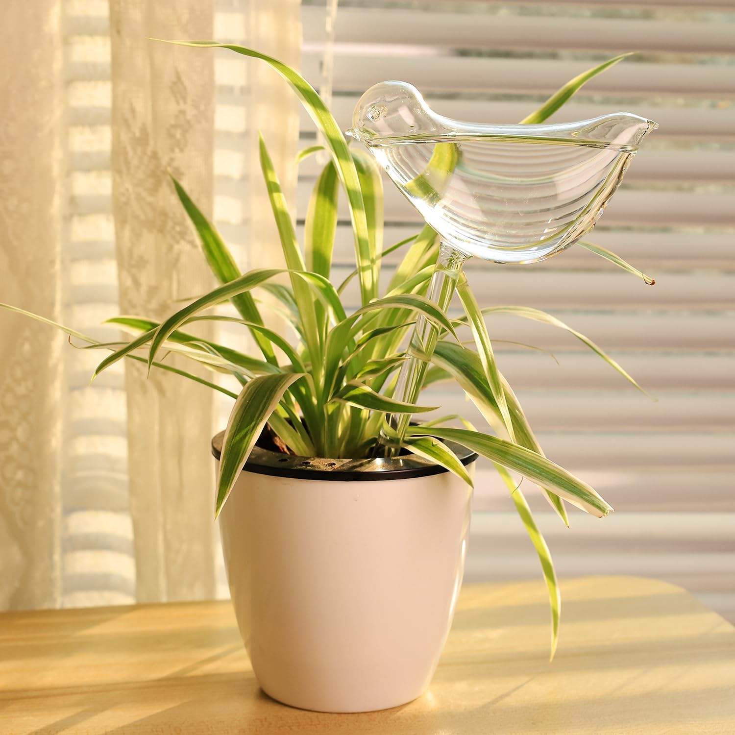 KiKiHeim Plant Watering Globes Self Watering Planter Insert Spikes Drip Devices, Clear Glass Automatic Water Bulbs for Outdoor&Indoor Plants, 2 Birds