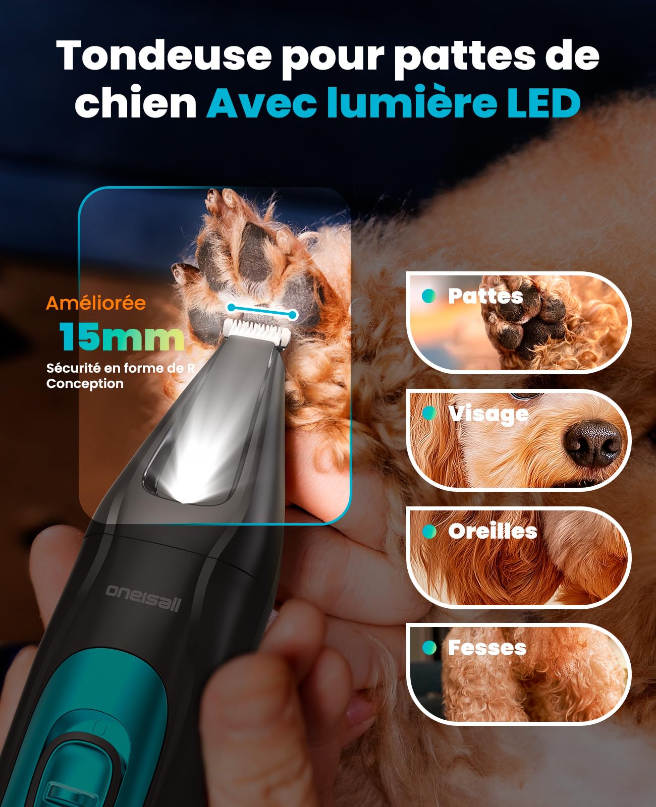 oneisall 4-en-1 Tondeuse pour Chien Professionnelle Sans Fil pour Animaux, Tondeuse à Poil Long Epais avec Lumière LED, Toilettage Rechargeable 2000mAh, Rasoir pour Chien et Pattes (Bleu)