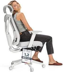 Desktronic Verstellbarer ergonomischer Bürostuhl | Schreibtischstuhl mit Lendenwirbelstütze - rückenfreundlich- Computerstuhl höhenverstellbar & rückenschonend - breites Polster SitPro (Grau)
