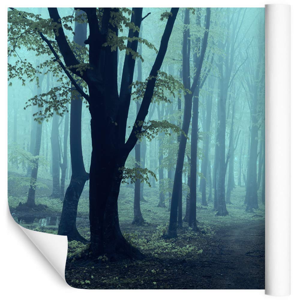 Fototapeta winylowa, las w mgle, drzewa, natura, tapety ścienne 300 x 210 cm, do salonu, sypialni, nowoczesne obrazy ścienne XXL, dekoracja ścienna, szer. 300 x wys. 210