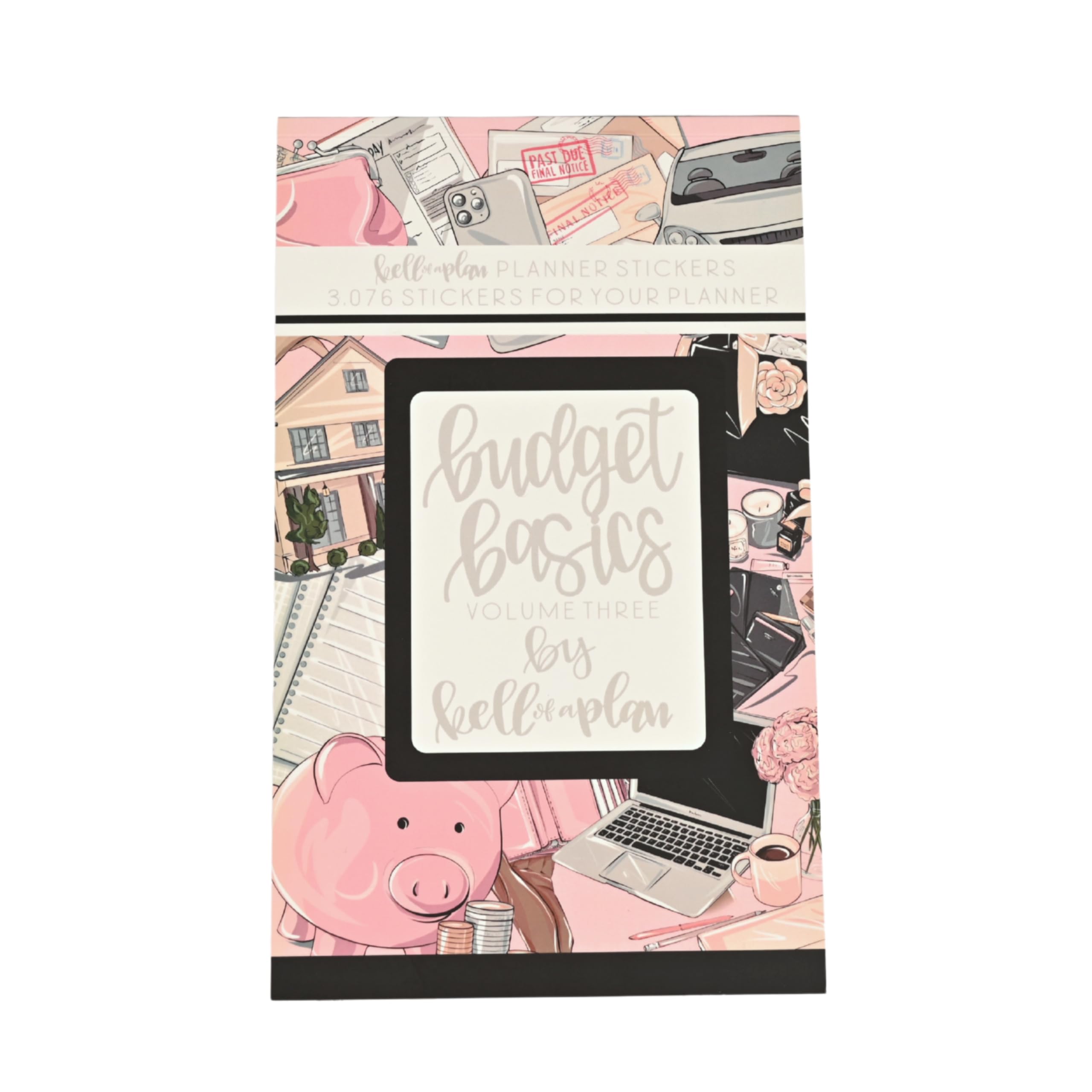 kellofaplan Budget Planner Bundle con Budget Basics Sticker Book e Cash Envelope Notebook, 12 mesi senza data, 15 buste trasparenti per contanti, rilegatura a disco