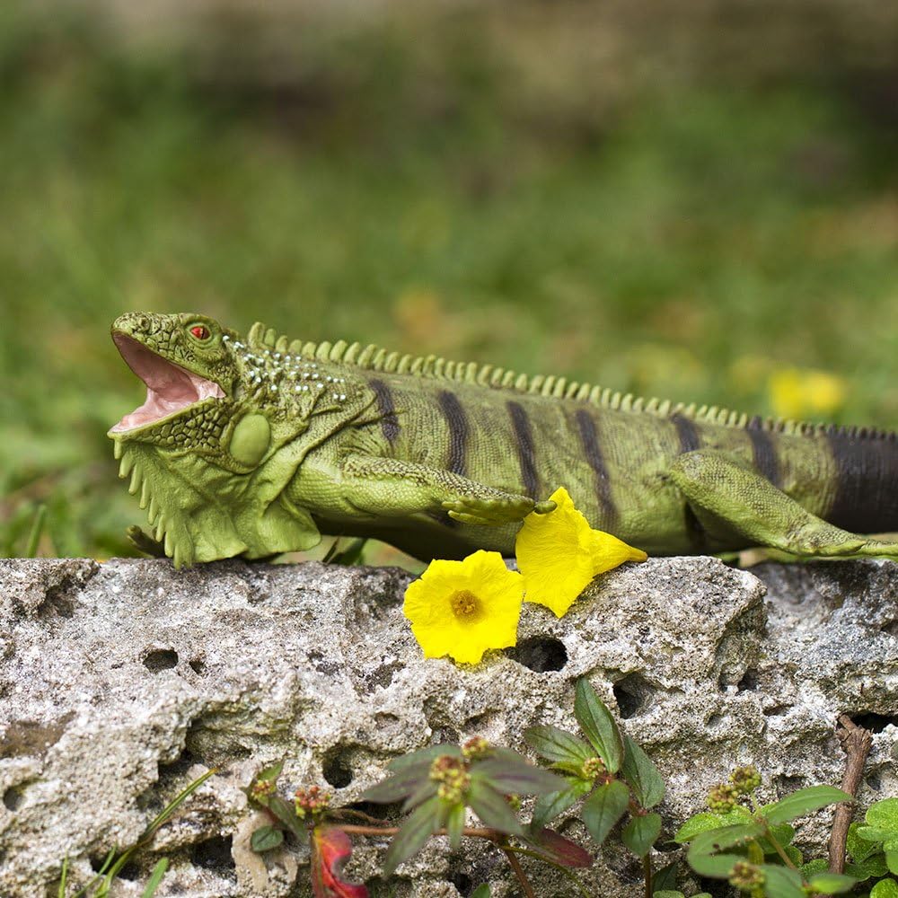 Safari Ltd. Iguana Figurine - Lifelike 11" Model Figure - Educational Toy for Boys, Girls, and Kids Ages 3+