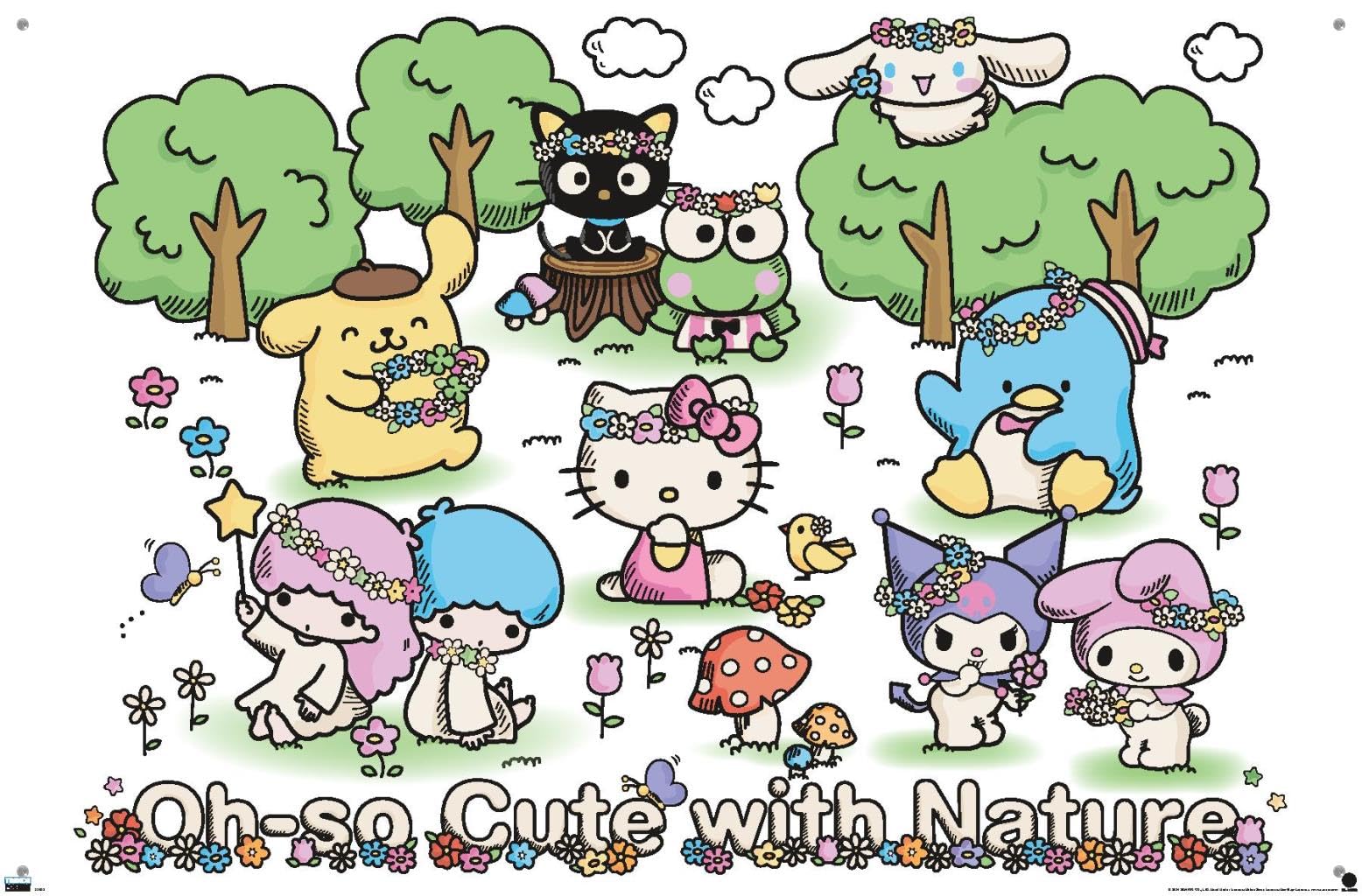 Amazon.com: Hello Kitty and Friends: 24 Nature - Group Wall Poster