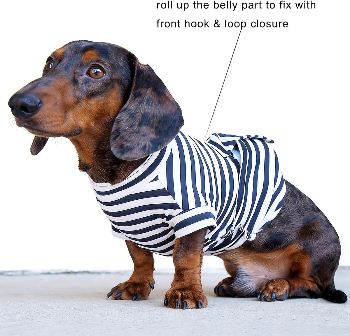 Striped Dachshund Surgery Recovery Suit, Professional Doxie Cotton Spay Neuter Recovery Onesie, Mini Wiener Anti-Licking Post-Op Bodysuit (48 (Back:18–19" /45–48 cm;Chest:24–26" /60–66 cm))