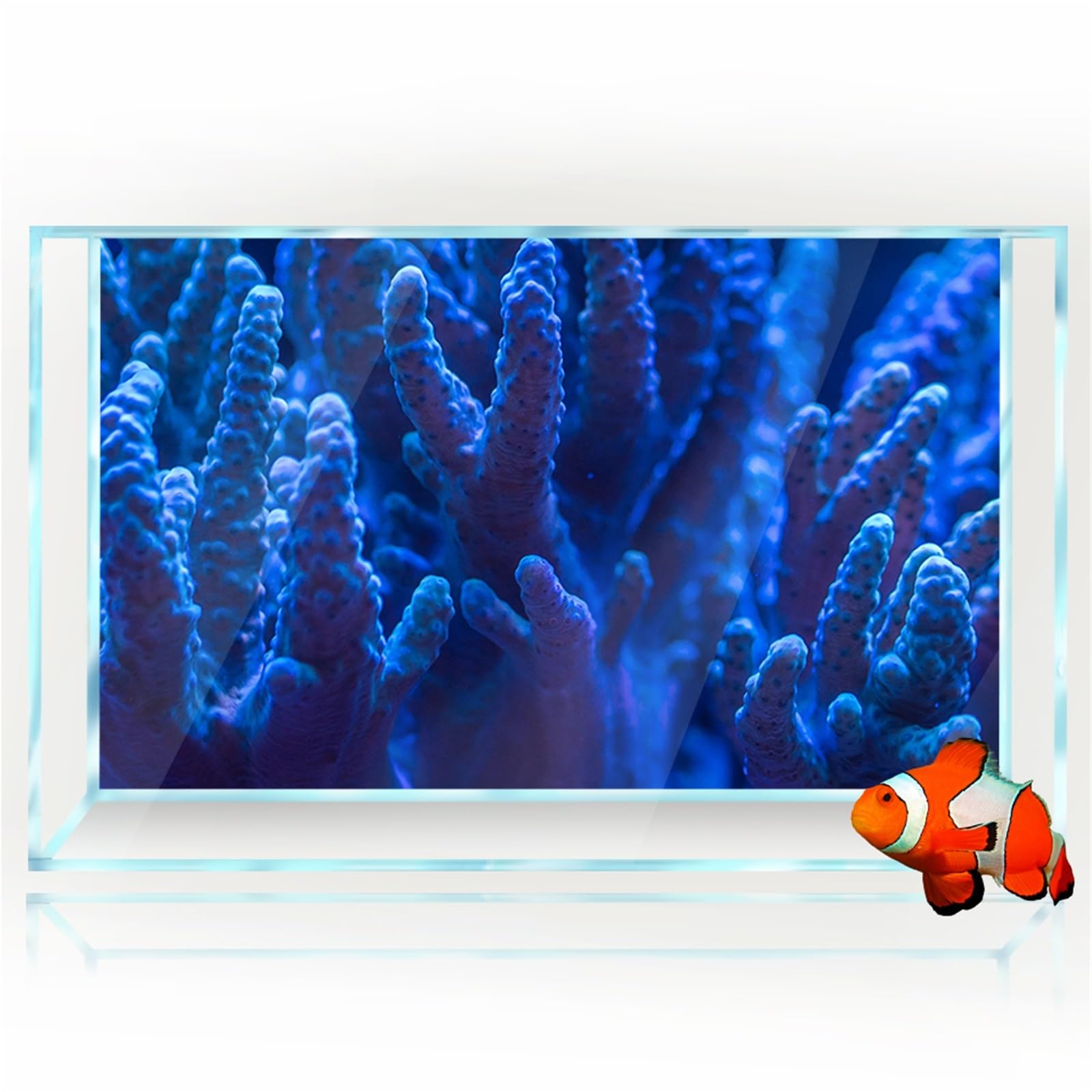 Décoration de Corail Fond d'aquarium Effet 3D | Papier peint imprimé océan HD, décorations d'habitat de reptiles for aquarium, PVC(40x80cm 16x31in)
