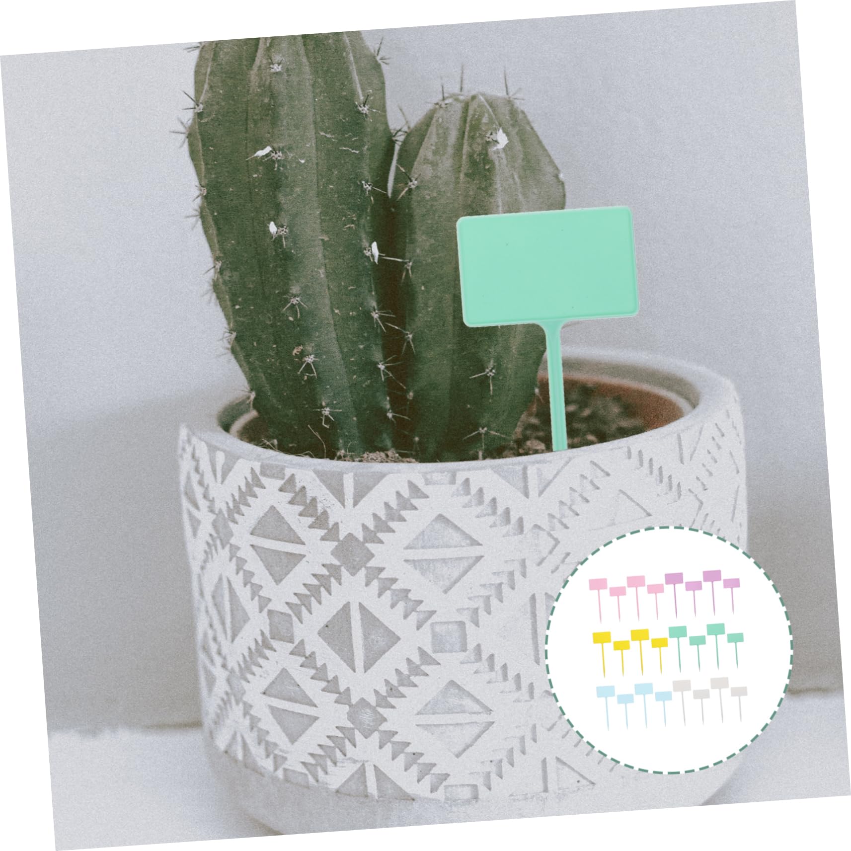 ibasenice 5 Ensembles Étiquettes De Jardin Plastique Pour Plantes Lot De Marqueurs Carrés Insérés Étiquettes Pour Couleurs Mélangées Pour Identifier Plantes Intérieur Extérieur Pièces * 5