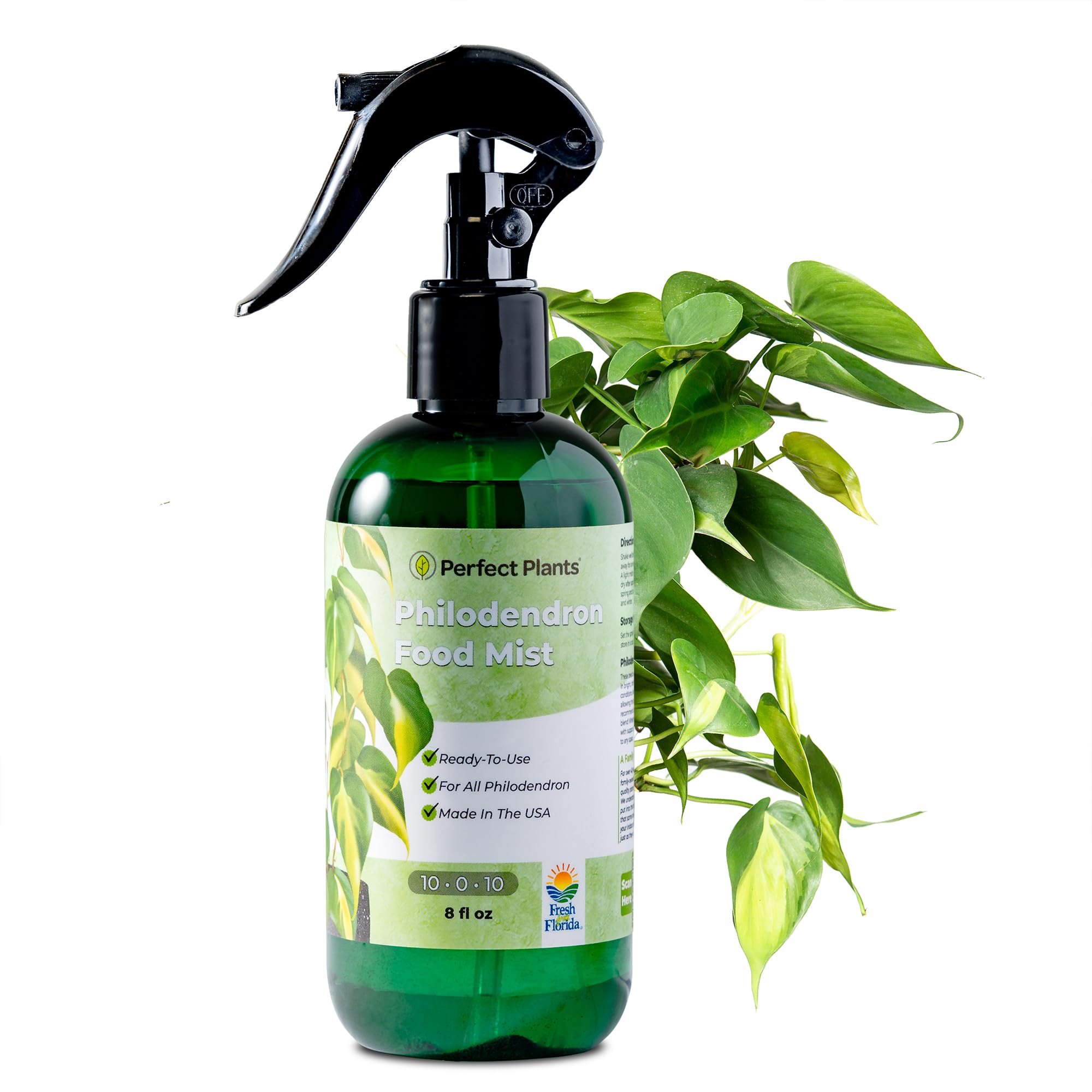 Perfect Plants Philodendron Mist