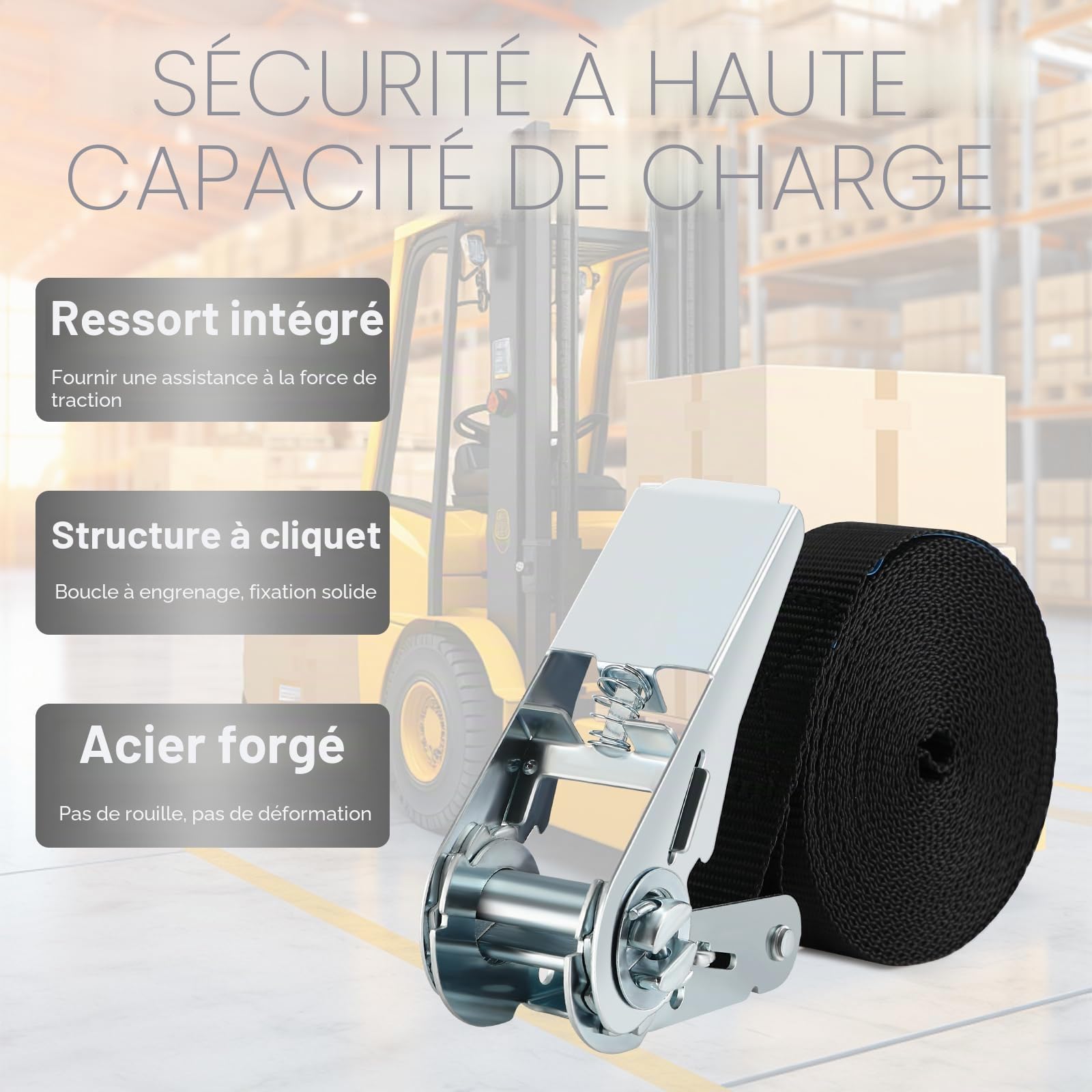 Tapvai Lot de 5 Sangles d'arrimage réglables avec cliquet (2.5 cm x 4 m) | Charge maximale : 1000 kg - Sangles d'arrimage extrêmement Robustes - Convient pour Le Chargement Fixe, la Voiture, la Moto