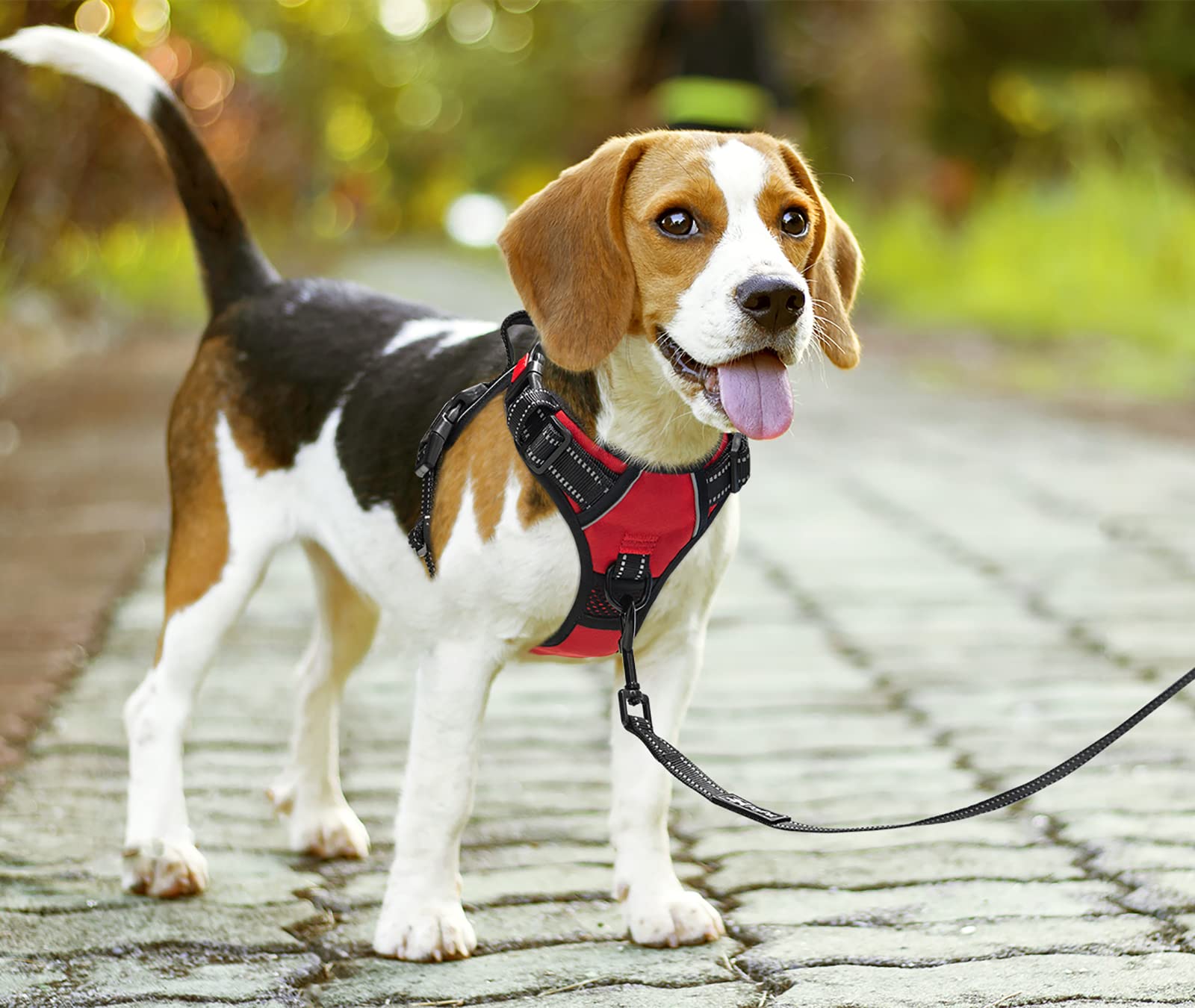 PoyPet No Pull Dog Harness with Neck Release Buckle, Reflective No-Choke Harness with 2 Leash Clip - Image 2