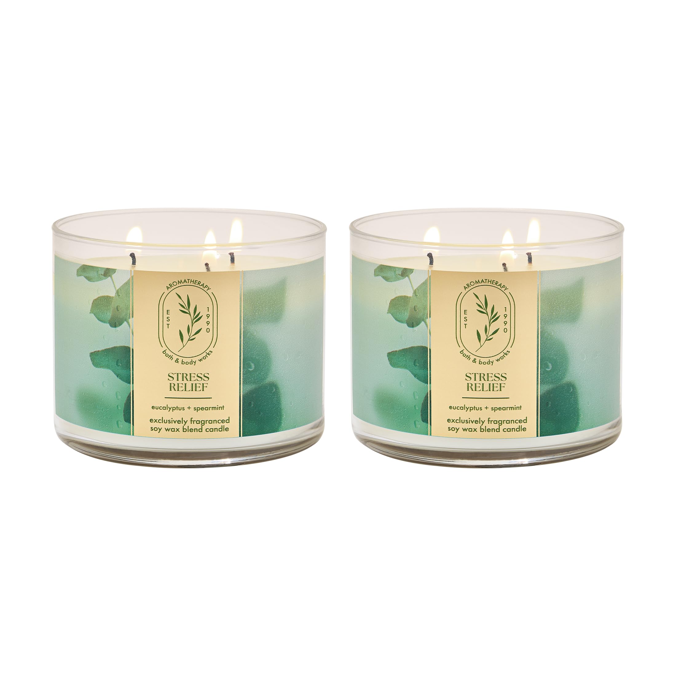 Amazon.com: Bath & Body Works Eucalyptus Spearmint 3-Wick Candle