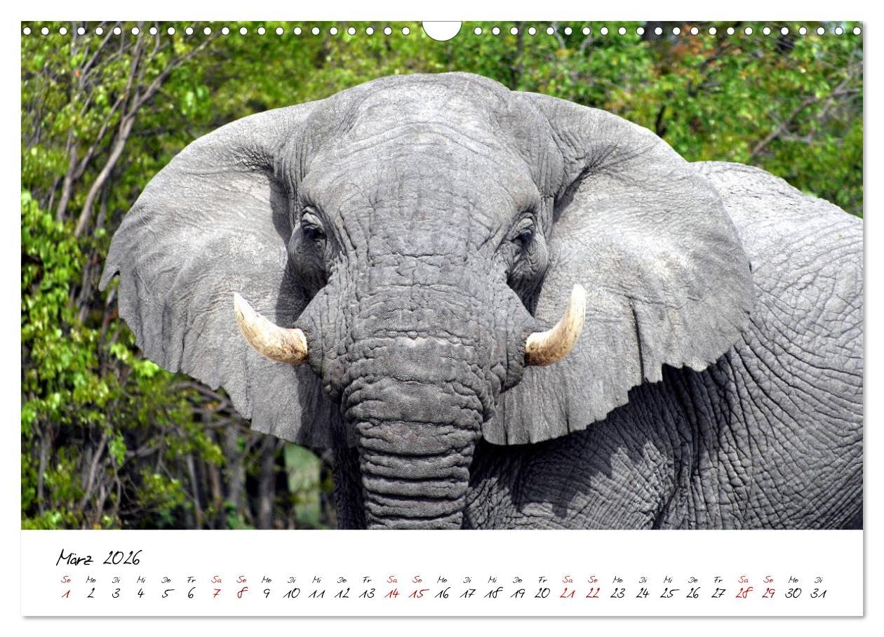 Namibia - Magie der Weite (Wandkalender 2026 DIN A3 quer), CALVENDO Monatskalender: Hochwertiger Fotokalender mit Motiven aus Namibia.
