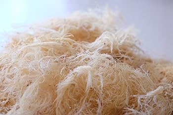 てんぐさ　天草　愛媛産 　海藻　無添加　天日干し天草 　ところてん てんぐさ 天草 愛媛産 海藻 無添加 天日干し 芽ひじき ひじき