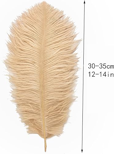 Miniatura 4 de Ballinger Plumas de avestruz champán a granel  12 plumas bohemias grandes de 12 a 14 pulgadas para jarrón, centros de mesa de fiesta de boda,
