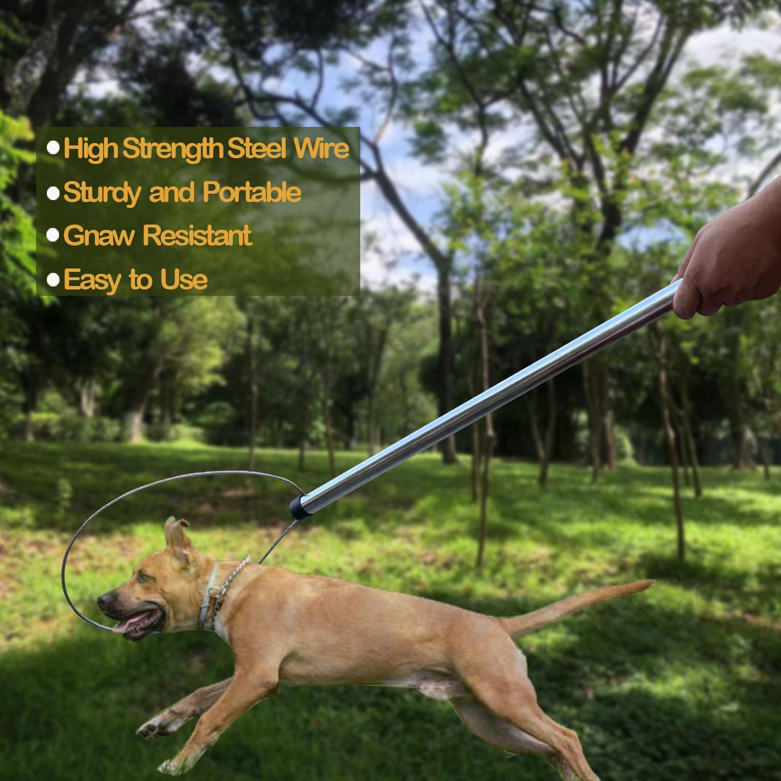 Dayimado 59-Inch Animal Catch Pole - Dog Catcher Pole For Restraining Dogs, Pigs, Wildlife