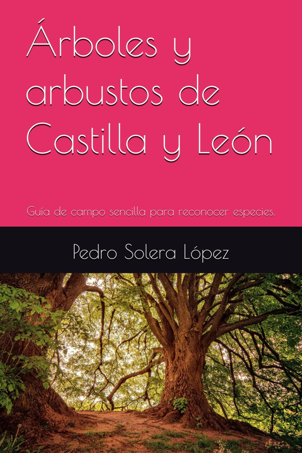 Árboles y arbustos de Castilla y León: Guía de campo sencilla para reconocer especies.
