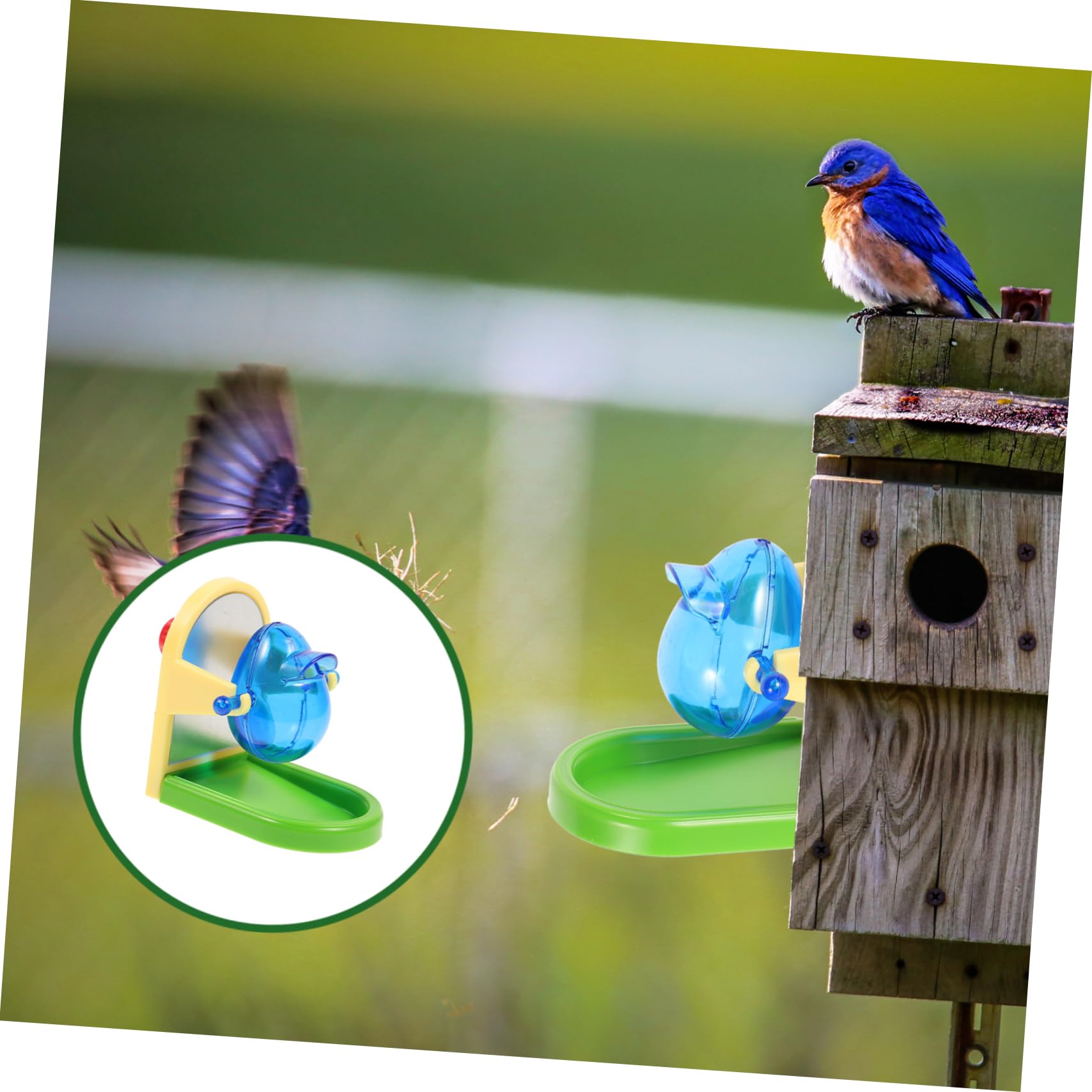 UPKOCH Juguete de Entrenamiento para Loros y Pájaros, Dispensador de Comida Resistente de Metal y Plástico, Adecuado para Entretenimiento y Desarrollo de Inteligencia Color Aleatorio