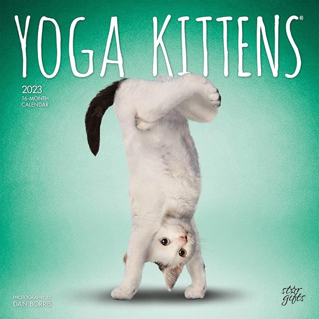 Yoga Kittens OFFICIAL | 2023 12 x 24 Inch Monthly Square Wall Calendar | Sticker Sheet | StarGifts | Animals Humor Cats Feline