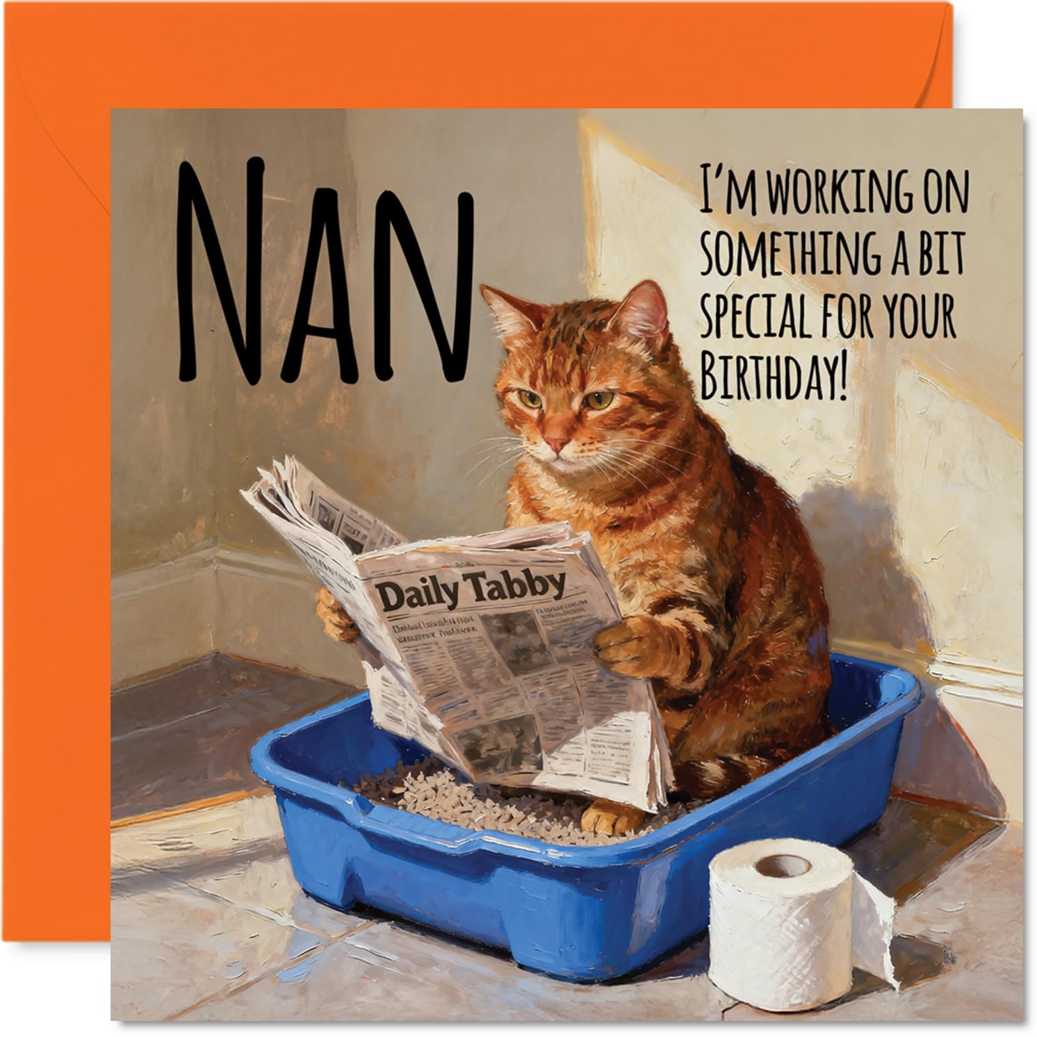 Nan Birthday Card - Working on Something Special - Happy Birthday Card for Nan from Grandson Granddaughter, 145mm Funny Cat Litter Tray Humour Bday Greeting Cards