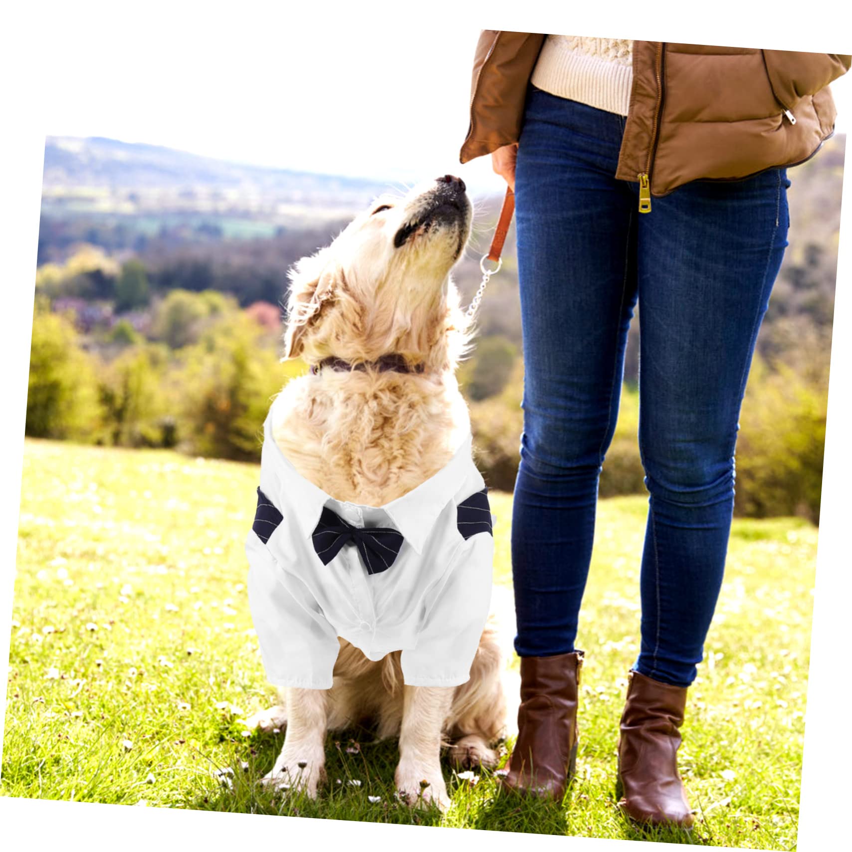 BESPORTBLE 5piezas Disfraz Formal para Mascotas Diseño Chic y Material Transpirable Ropa De Boda para Perros y Gatos para Eventos Especiales y Fiestas
