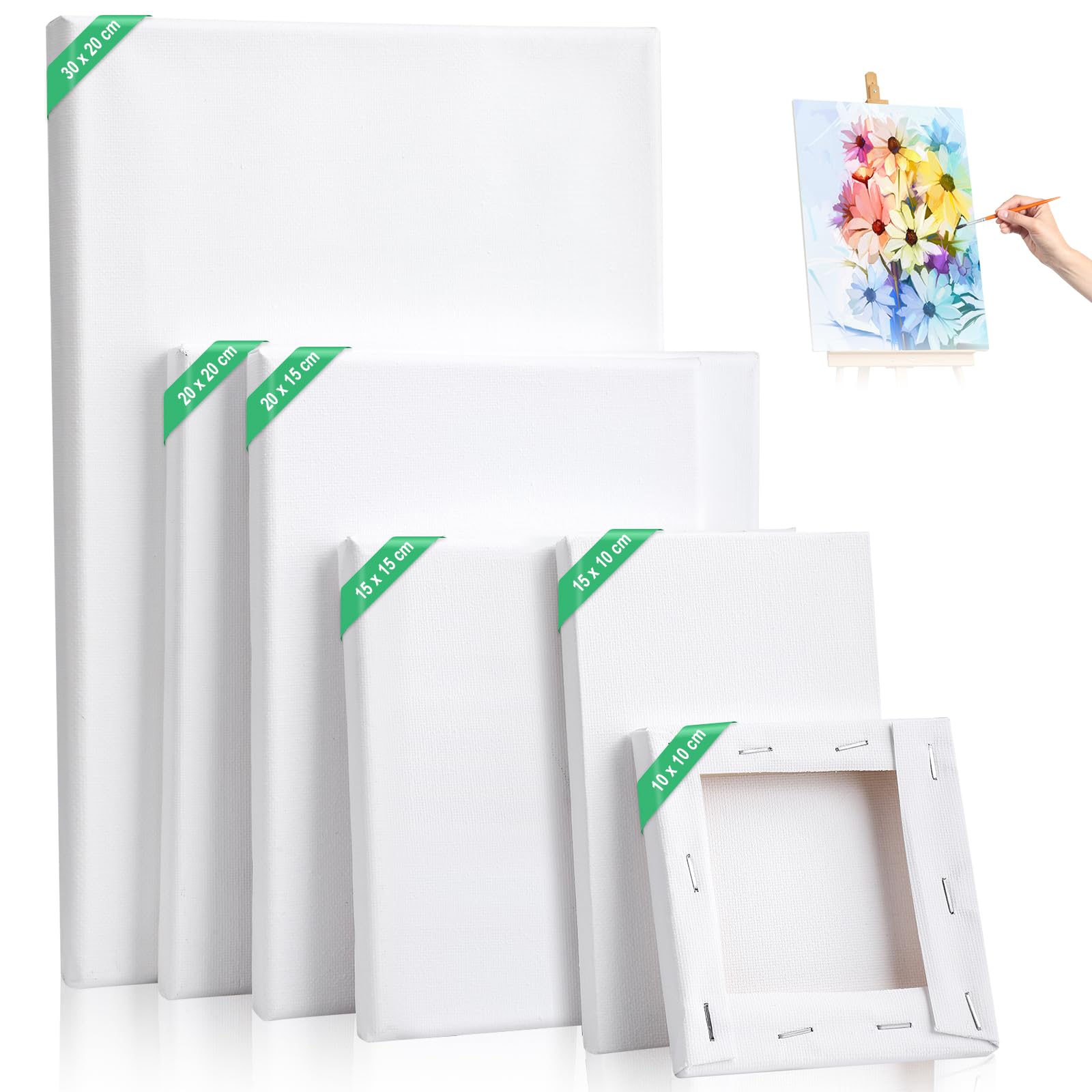 Kigniote Stretched Canvas Set - 6 PCS for Oil and Acrylic Painting - Multi-Size Art Boards 30x20,20x20,20x15,15x15,15x10,10x10cm for Artists