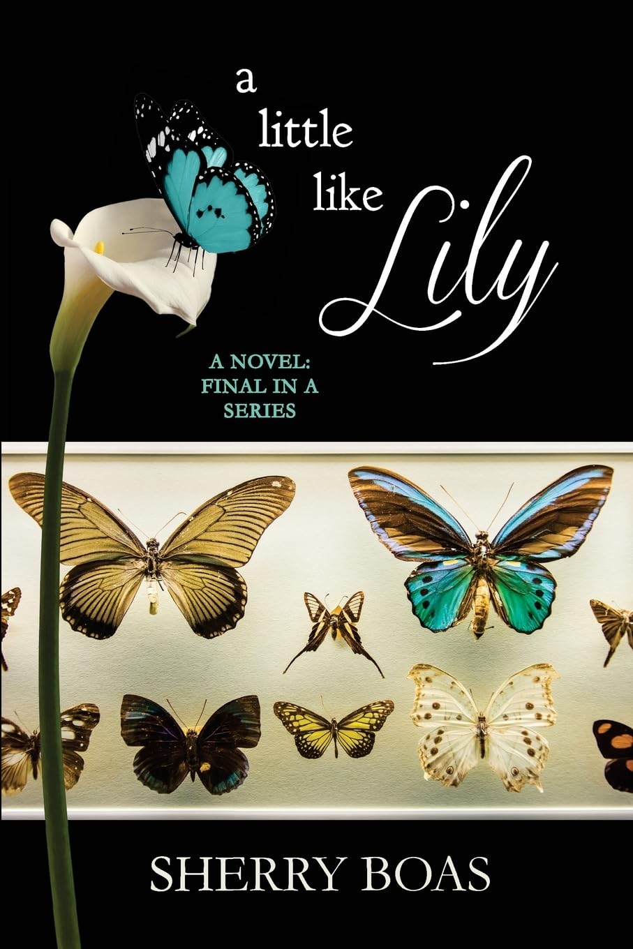 A Little Like Lily: A Novel: Sixth in a Series (The Lily Series)