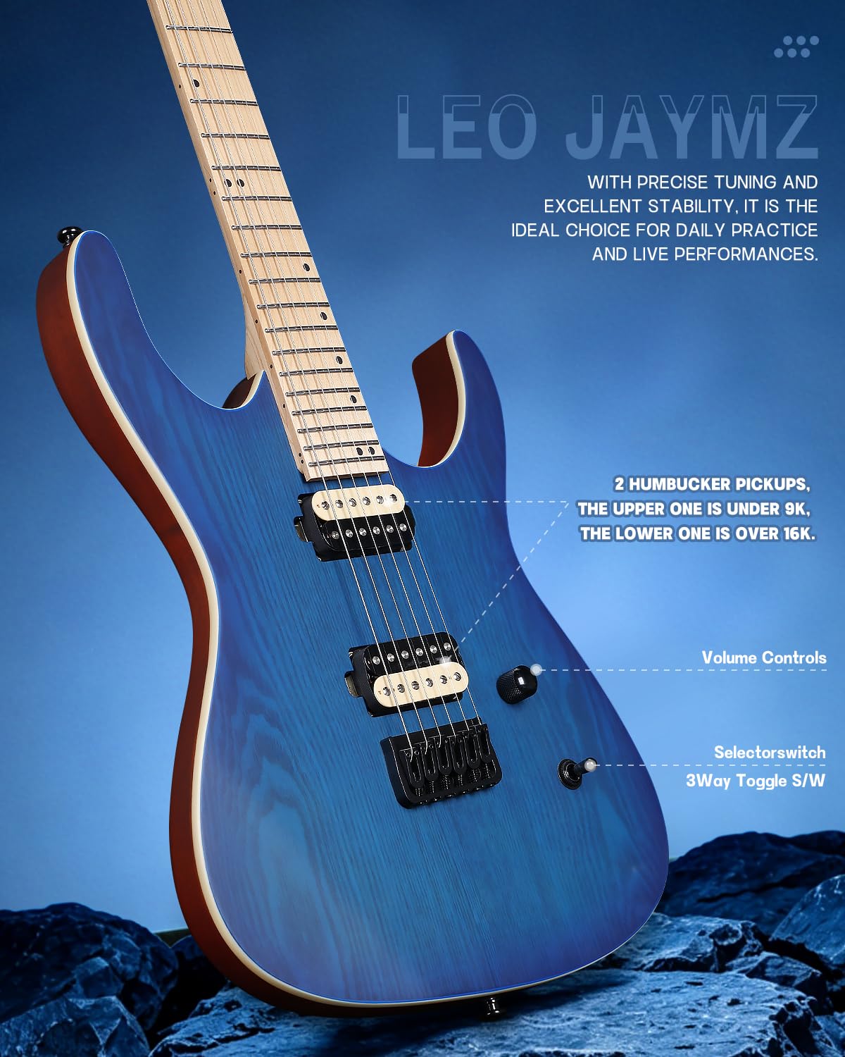 Amazon.co.jp: Leo Jaymz Monsoon Series 24-Fretエレキギター