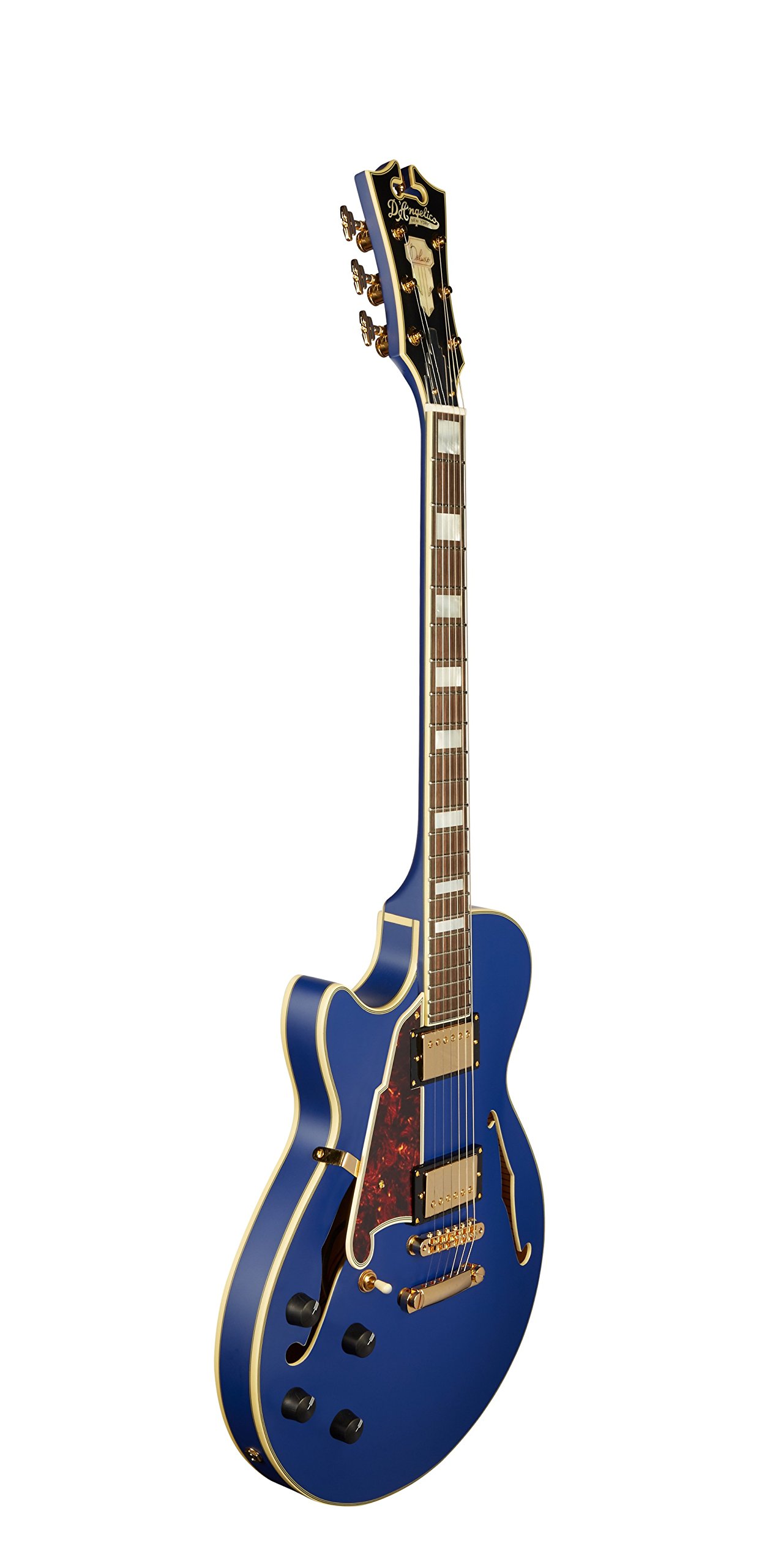Amazon.com: D'Angelico Deluxe SS Semi-Hollow Lefty Electric
