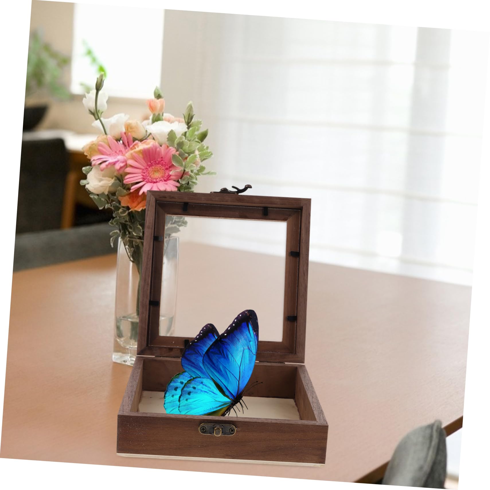 Cabilock Butterfly Specimen Display Box Wooden Storage Case Lid - Display Frame