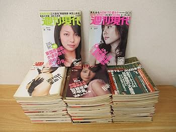 雑誌です。 仮面ライダー 昭和 vol.9 仮面ライダーZX (講談社シリーズMOOK