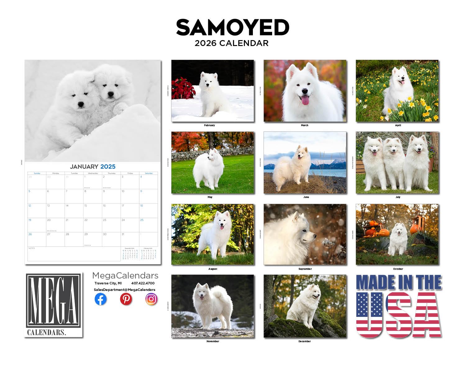 2024 2025 kalendarz samojed, miesięczny kalendarz ścienny z rasą psów, 30 x 45 cm, otwarty, gruby papier bez przebarwień, prezent - akademicki planer nauczyciela, kalendarz, organizowanie i planowanie