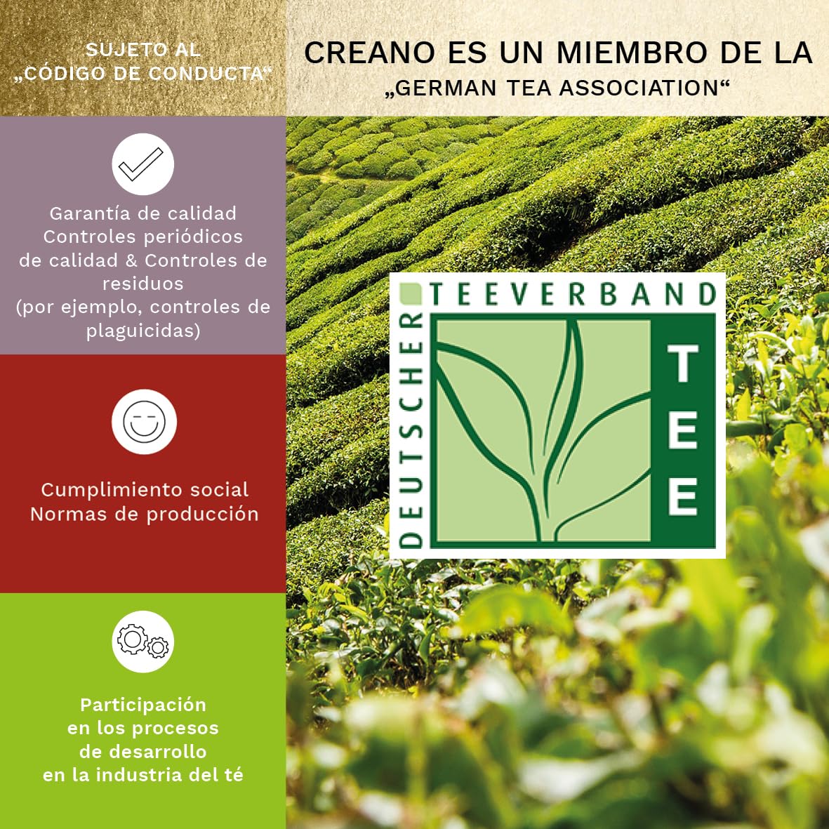 Creano Cofre de Oro Mezcla Flores de Té 6 uds Tetera de Vidrio 500ml Antigoteo Blanco, Verde y Negro