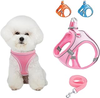 Atmungsaktive Hundeweste mit Leine, Einstellbar Reflektierend Weich Gepolstert Hunde Geschirr, Air-Mesh Atmungsaktiv Brustgeschirr für Kleine, Mittelgroße Hunde & Welpen (Rosa, S) product image