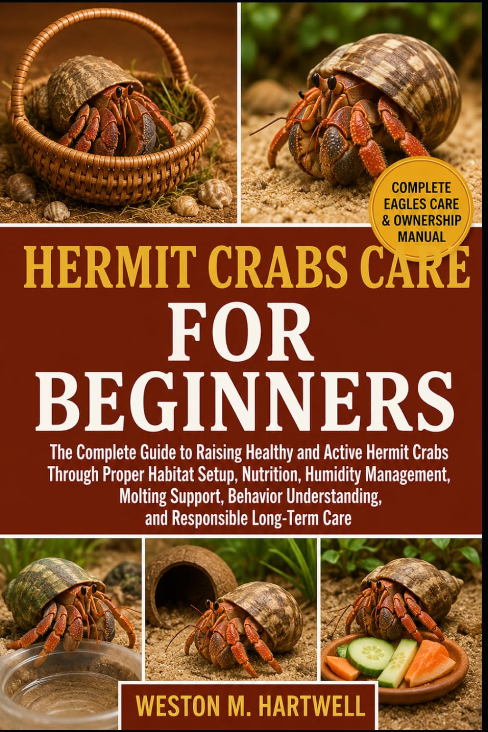 HERMIT CRABS CARE FOR BEGINNERS: The Complete Guide to Raising Healthy and Active Hermit Crabs Through Proper Habitat Setup, Nutrition, Humidity ... Understanding, and Responsible Long-Term Care