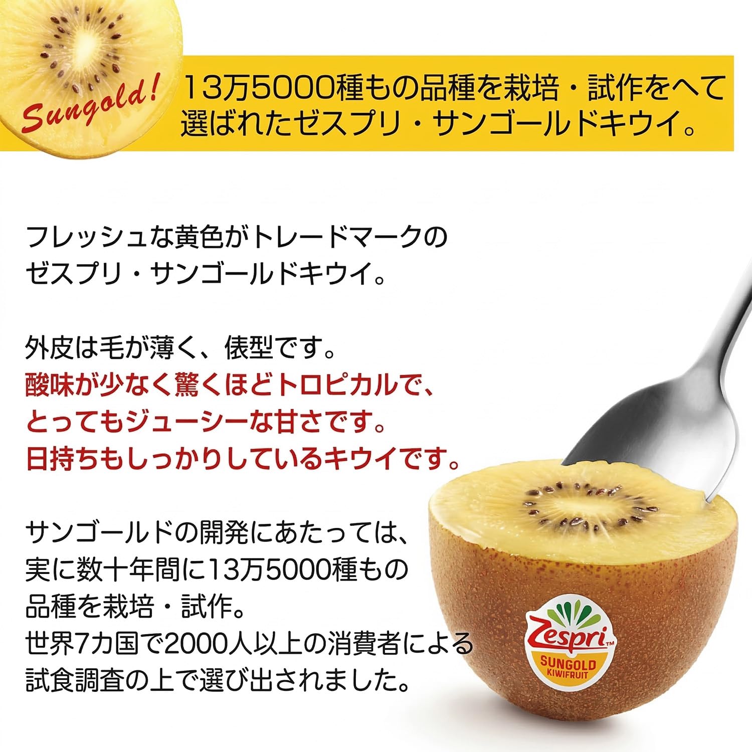 ロータスサンゴールドキウイフルーツ30玉サイズ48入れ✖︎２ケース 高橋さんの大玉キウイフルーツ ミックス約1.2kg(7〜8玉)