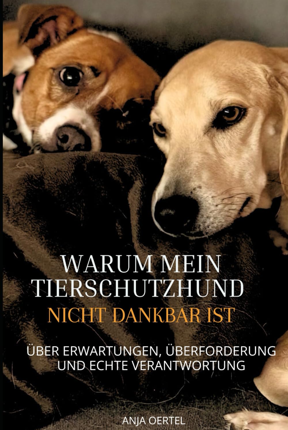 Warum mein Tierschutzhund nicht dankbar ist: Über Erwartungen, Überforderung und echte Verantwortung