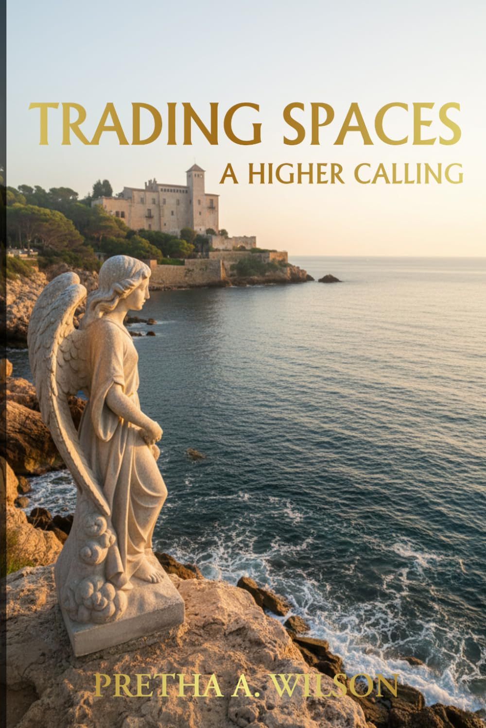 Trading Spaces: A Higher Calling
