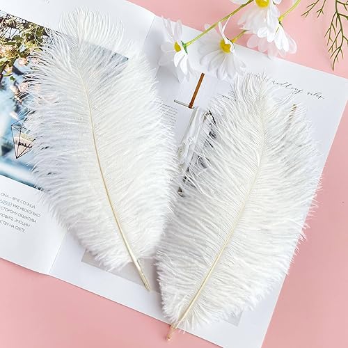 Miniatura 3 de Piokio 40 plumas de avestruz blanco natural de 10-12 pulgadas a granel para centros de mesa de fiesta de boda, Pascua, decoraciones de Gatsby