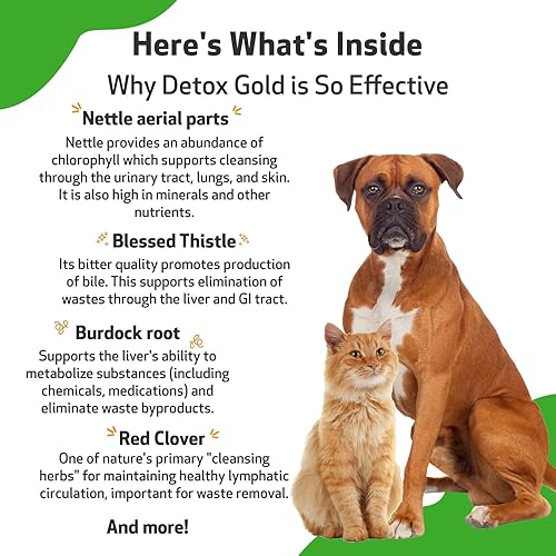 Miniatura 5 de Pet Wellbeing Detox Gold para perros y gatos - Formulado por veterinarios - Apoyo suave para la desintoxicación y la eliminación - Suplemento