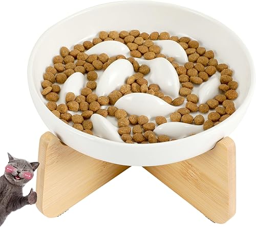 JuWow Cuenco de alimentación lenta para gatos, antigolpe, alimentación saludable, dietética, diseño en forma de ballena y borde elevado a prueba de