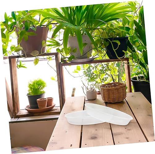 Miniatura 7 de Yardwe 15 macetas para plantas de interior, macetas para suculentas, bandeja redonda, bandeja para plantas suculentas, macetas, salchichas, macetas