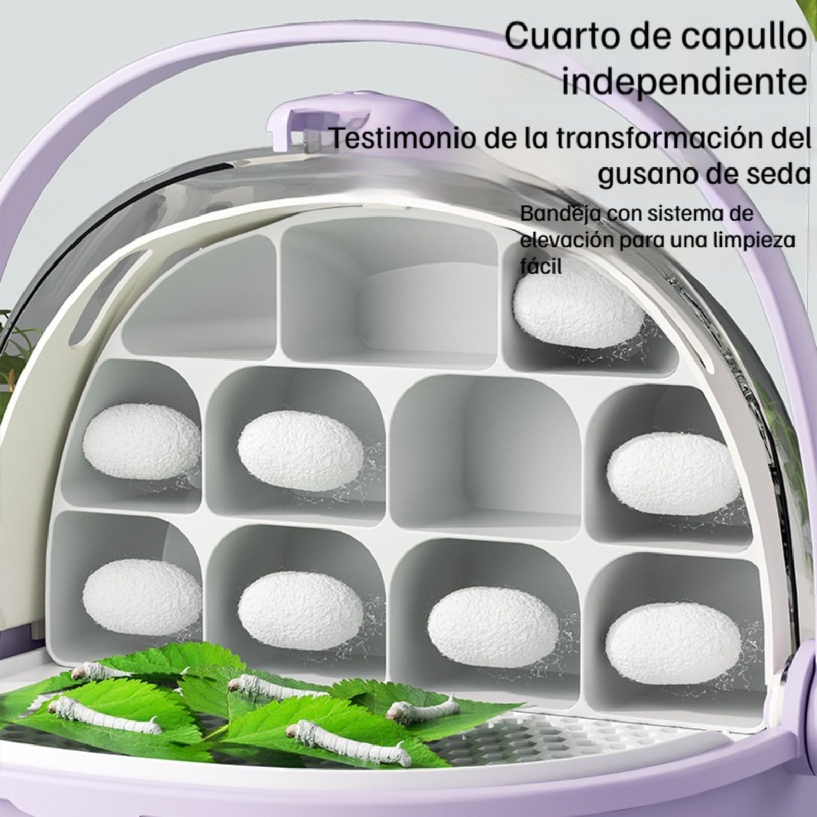 Cápsula para la cría Jaula para animalescaja Gusanos de Seda, terrario para Reptiles, Caja de alimentación portátil Transparente Tipo cajón Mejorada con asa. — view 4