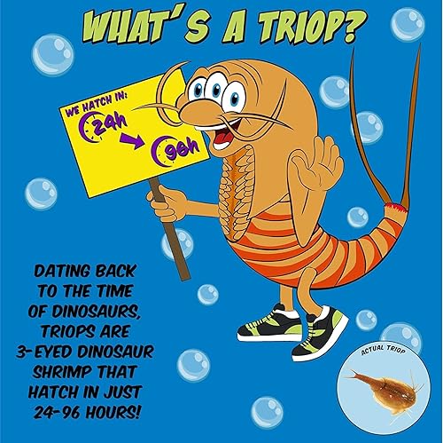 Miniatura 3 de Kit de Triops, contiene huevos, acuario, comida, instrucciones y consejos útiles para eclosionar y cultivar tus propias criaturas prehistóricas,